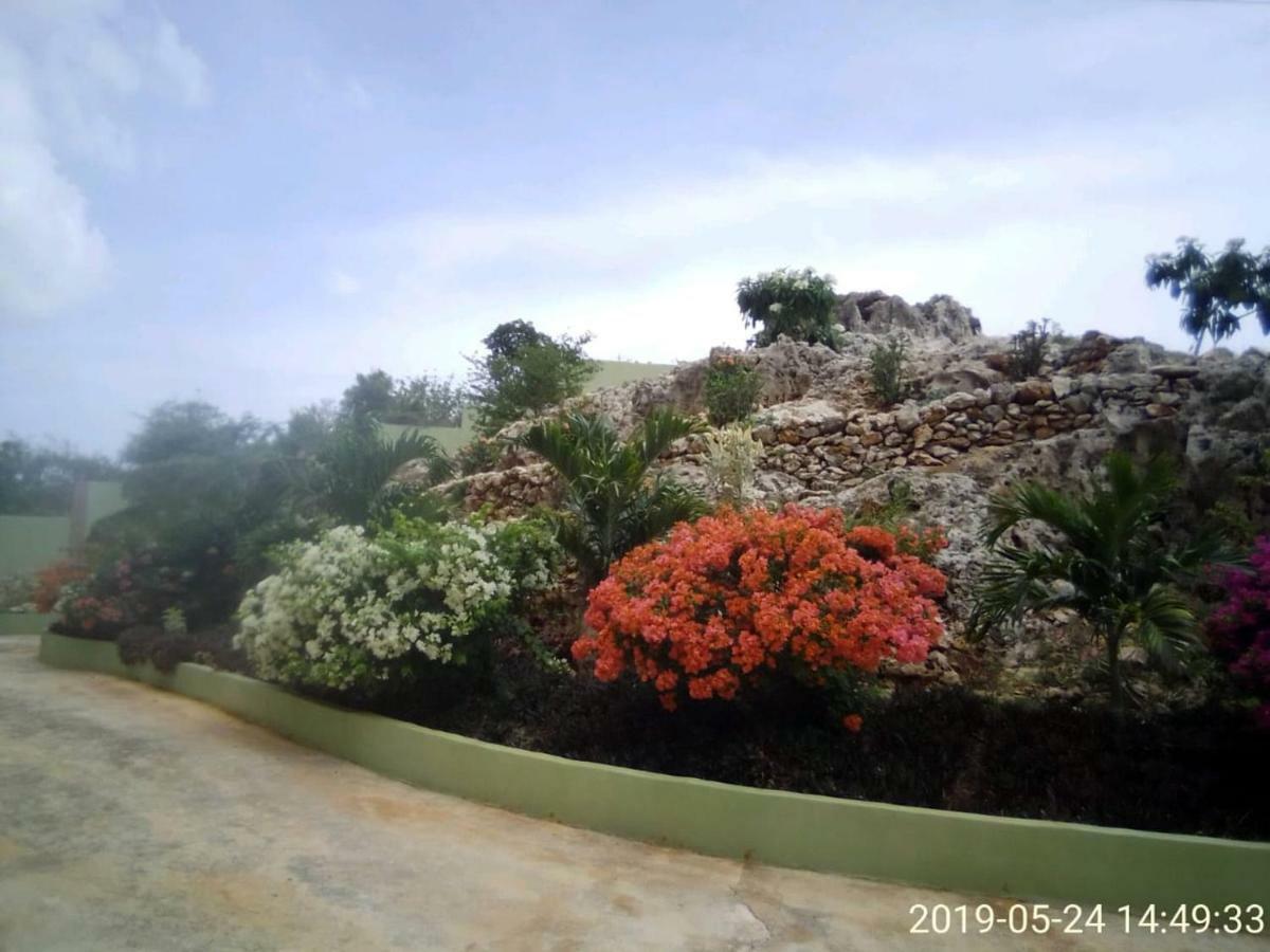 Eve'S Rockaway Villa Alligator Pond Village ภายนอก รูปภาพ